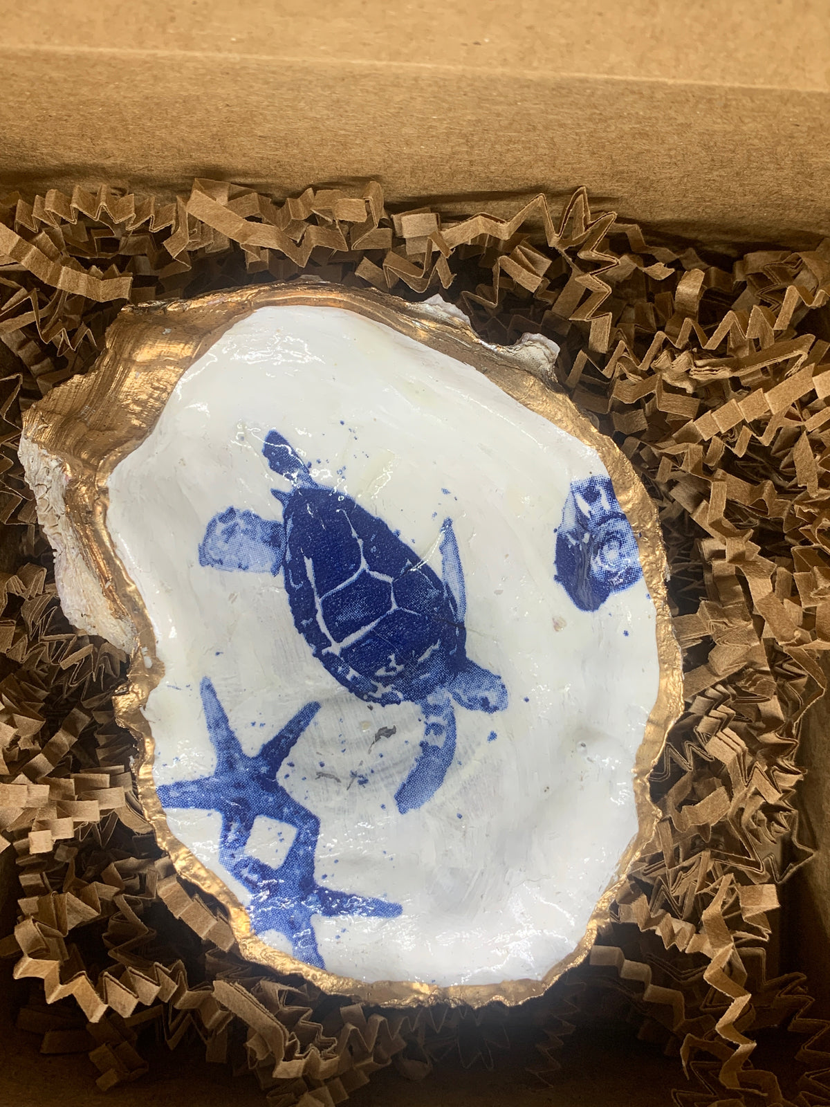 π’ Coastal Sea Turtle